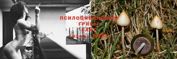 амфетамин Кинешма