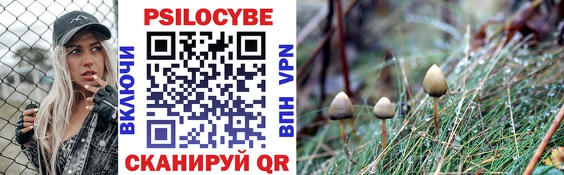 Купить закладки  Людиново  Псилоцибиновые грибы Psilocybe 